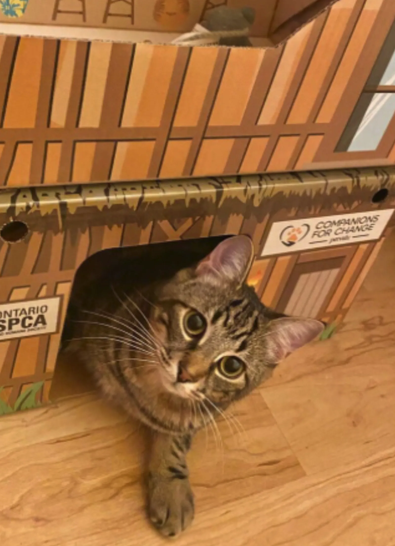 黃小姐（美容店｜銅鑼灣）